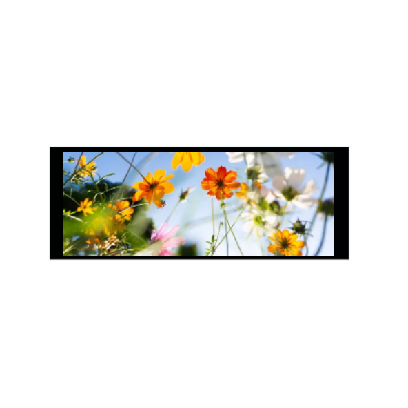 6.86インチ480×1280 IPS TFTモジュール